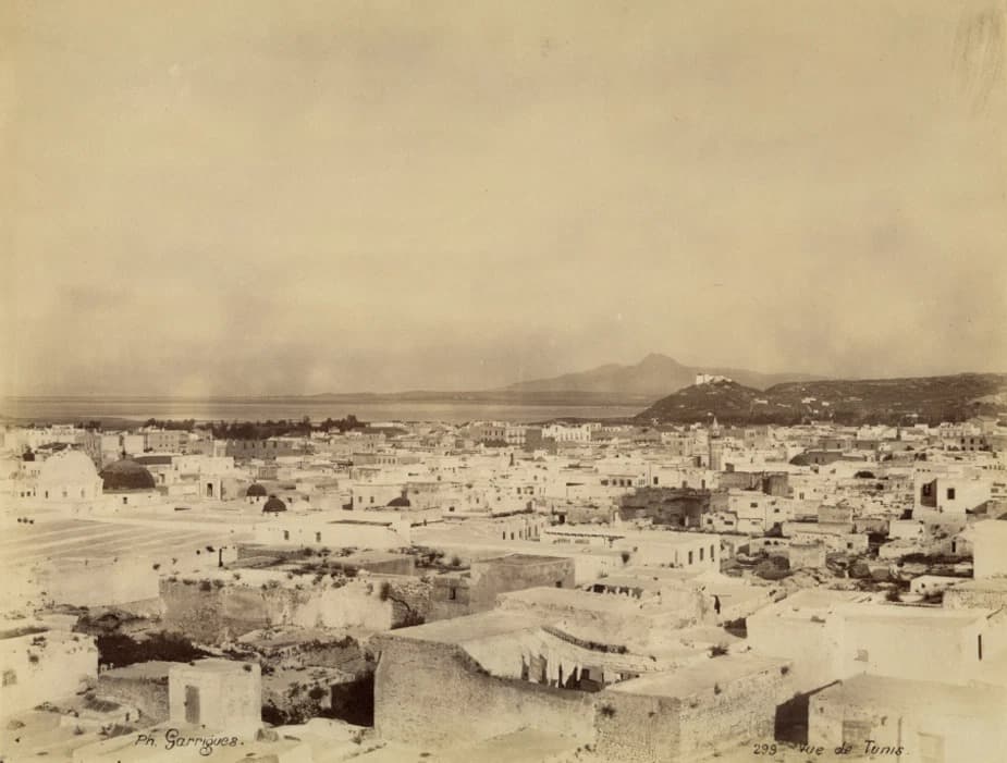Minaret overlooking the Medina of Tunis